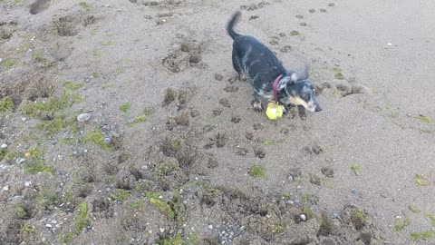 Life in fjord Ontario