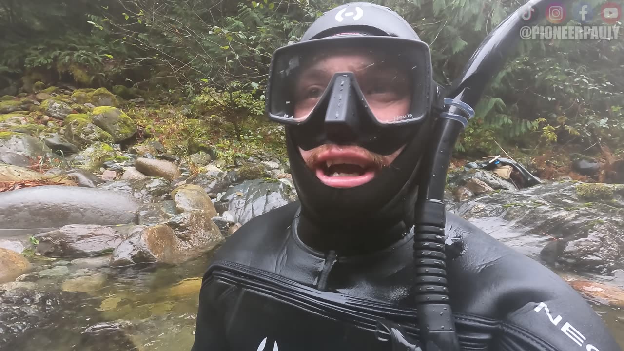 Why Is There So Much Gold In This River?