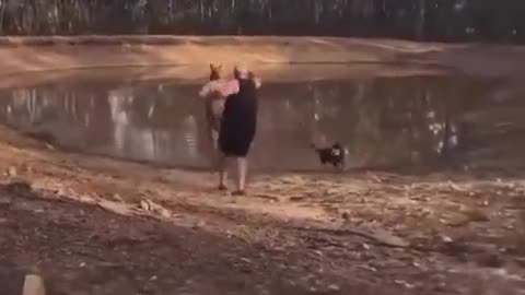 Kangaroo diaries only in Australia 🇦🇺