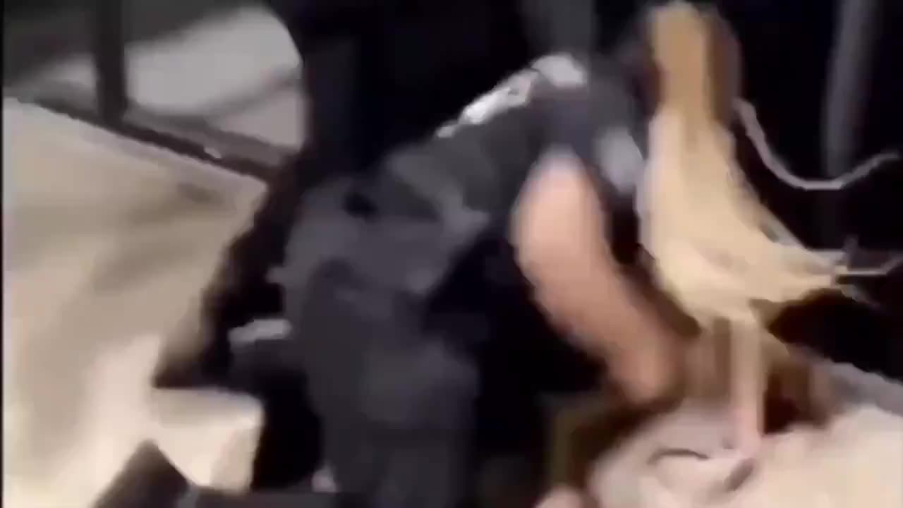Security Sheboons Vs. Lawless Lakeisha BRAWL!