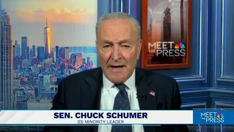 Chuck Schumer says "democracy is at risk" because President Trump deported illegal immigrant