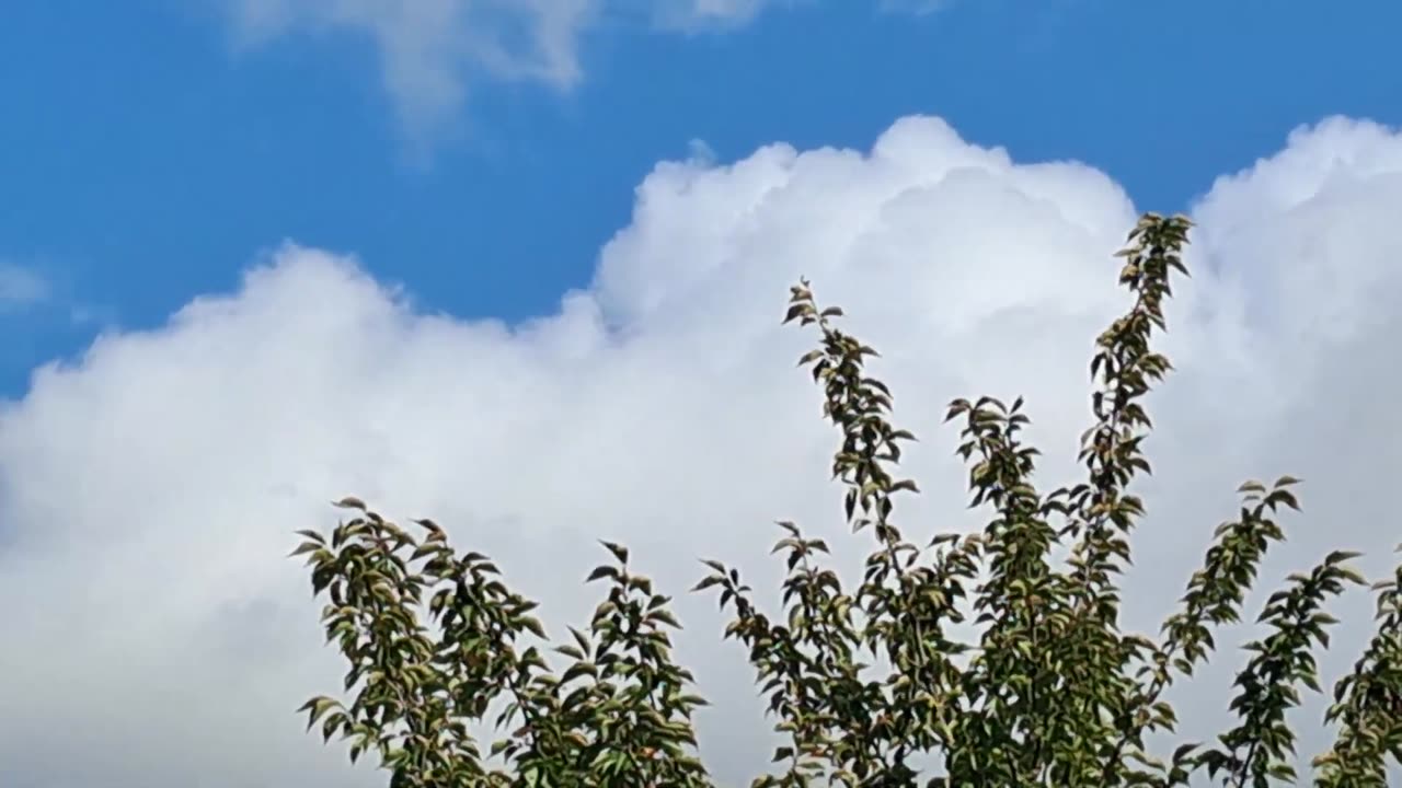 Paganiproductions@Helicopter Special 3 9 4 9 2025