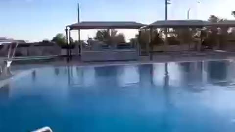 Viral funny videos 🤣