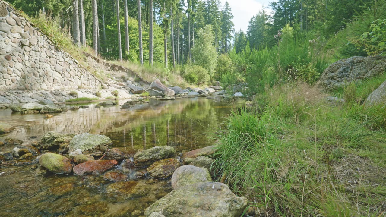 Meditation with Nature - Flowing Water & Forest - Part 2
