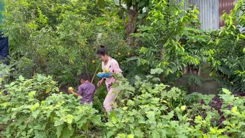 Sreypov Life Show- Pick pomegranate from back yard to eat - Family food cooking
