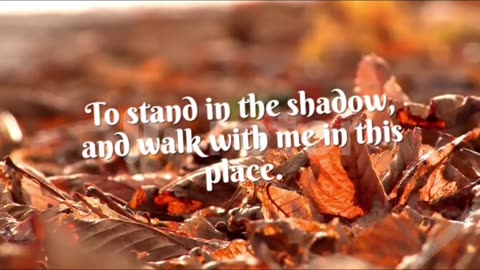 Forgiveness In Shadows