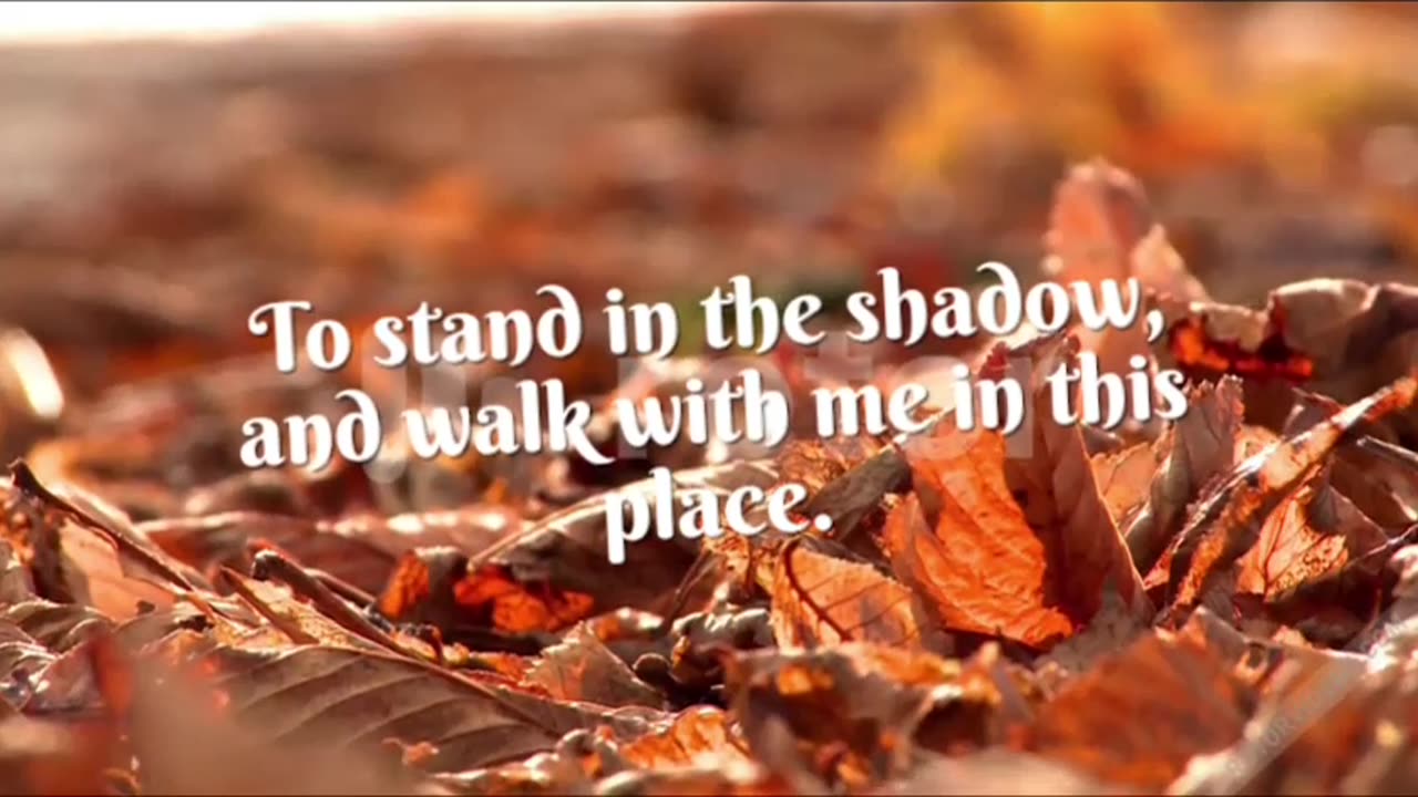 Forgiveness In Shadows