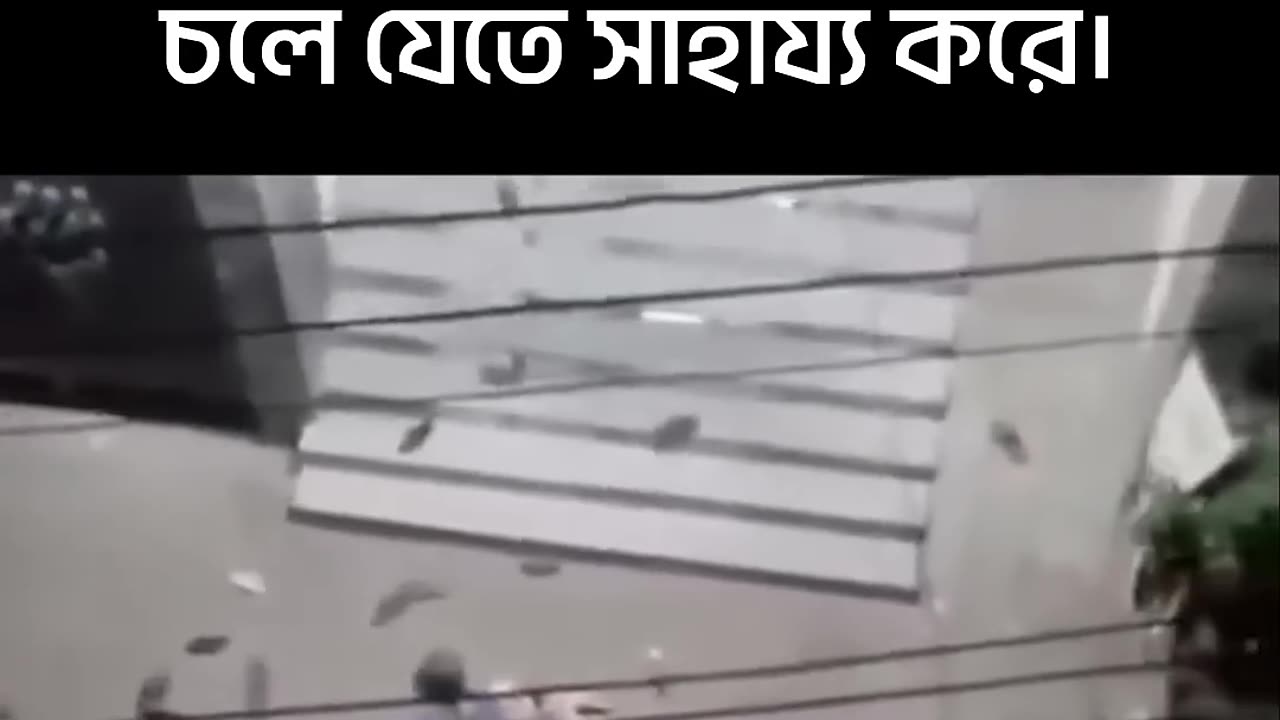গুজব আর সত্যি ঘটনা