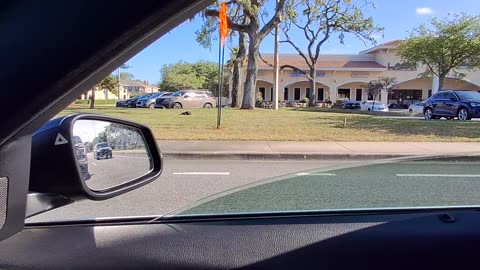 🇨🇦Beach Blvd en Français