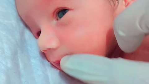 Newborn babies NICU sleeping