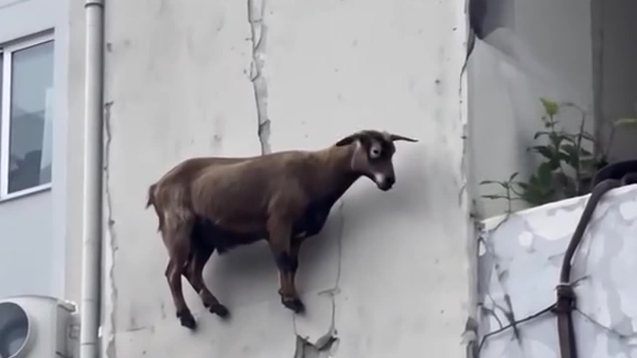 Funny