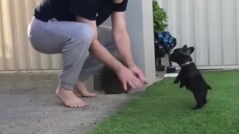 Funniest Cat Moments You Can't Miss 🐱😂