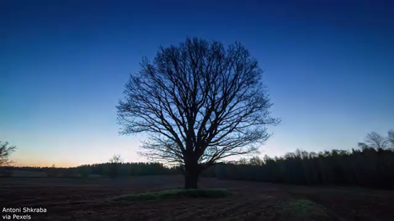 Here's Your Daily Dose Of Internet