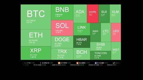 Live Coin Price Watch!