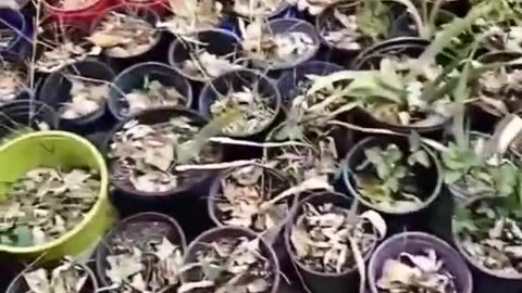 Winter Nursery Prep Archive 10/28/2023