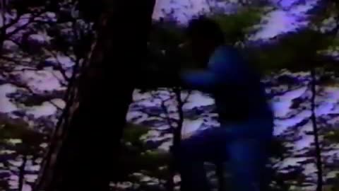 Taekwondo