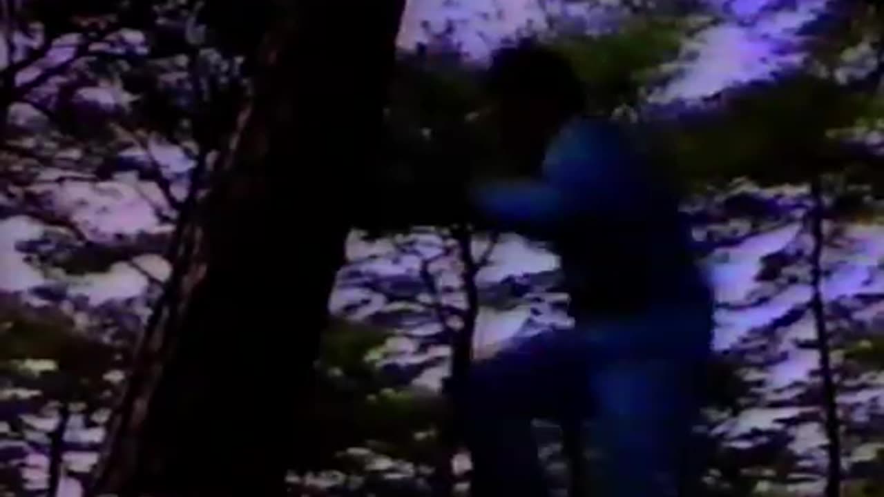 Taekwondo