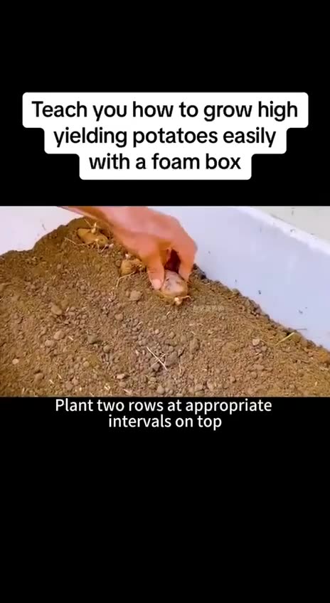 Grow your own food, it's very easy