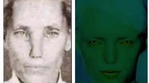 Have you ever seen a Nordic anunnaki upclose ?