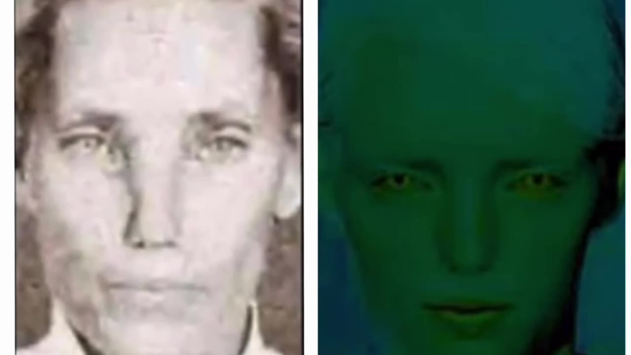 Have you ever seen a Nordic anunnaki upclose ?