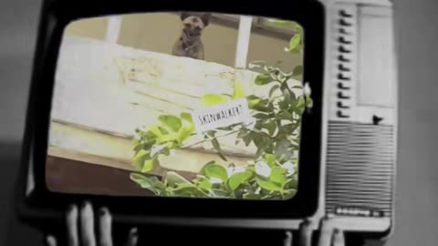 😨💥 Disturbing Events Unfold in This Haunted Location! | TheHauntingHour