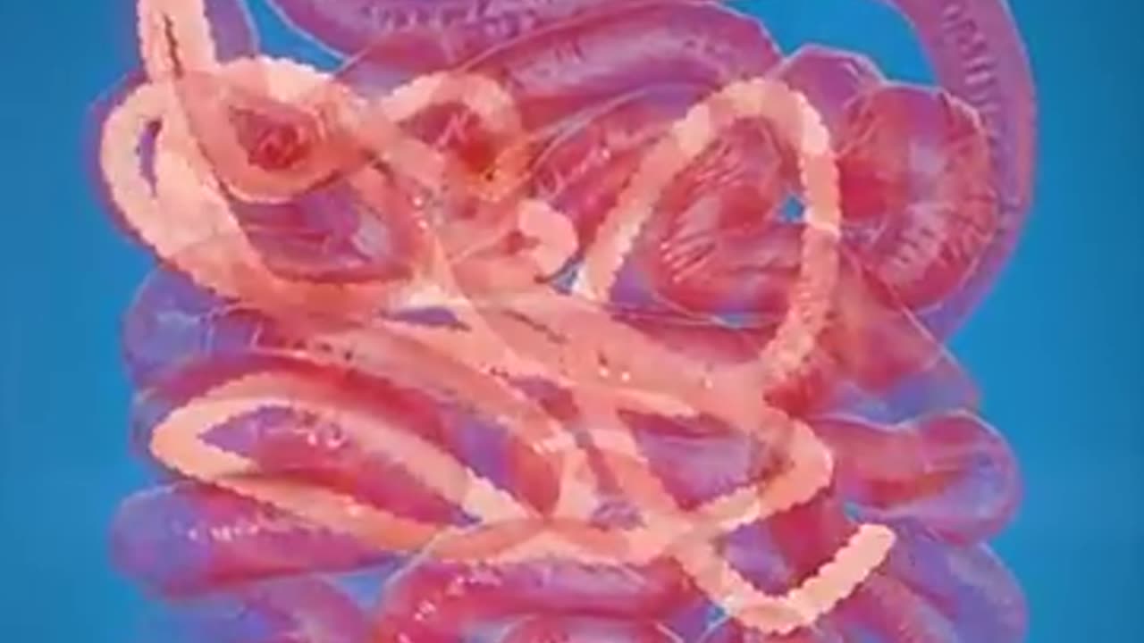 What Is A Tapeworm?