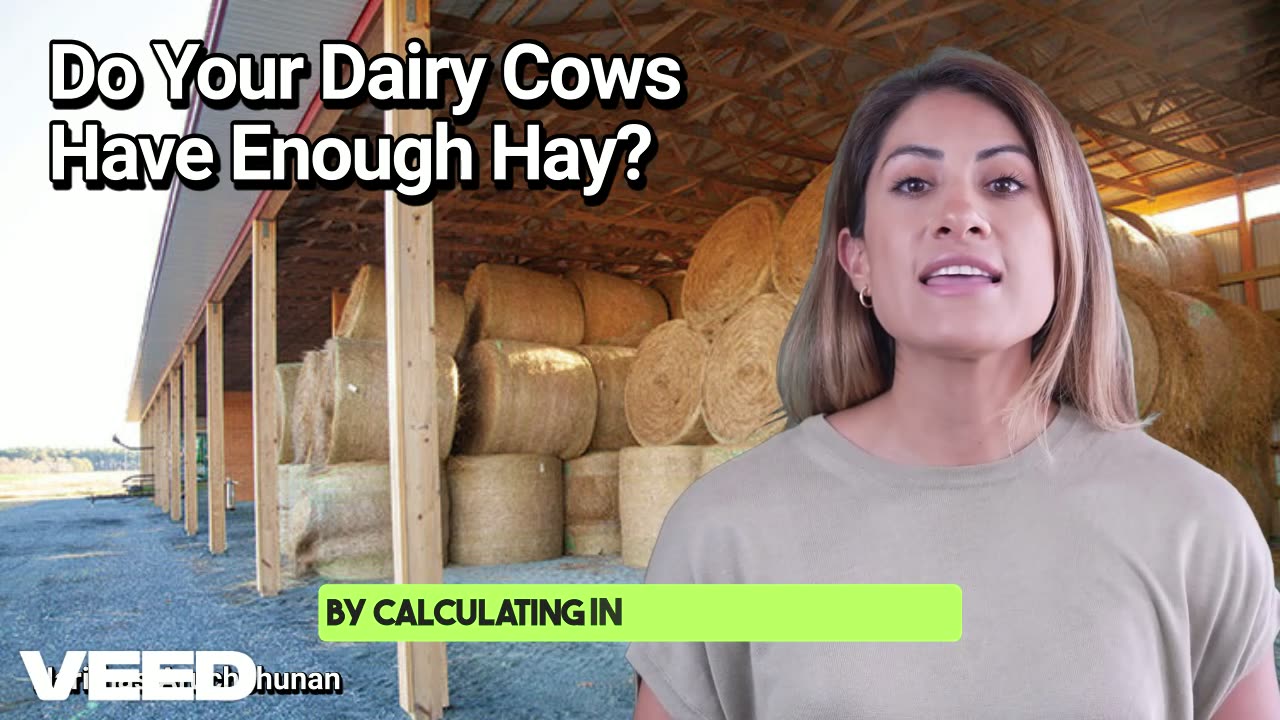Do Your Cows Have Enough Hay?Smart Tips to Keeping Dairy Cattle Fed,Healthy and Profitable