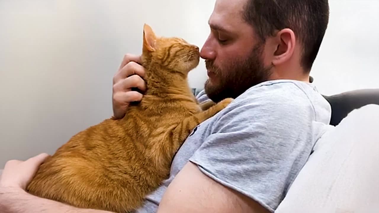 No words, no doubts, no calculation… just Cat LOVE ❤