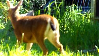 Out for a walk 5/11/25: