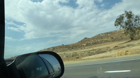 Random shot of the side of the road