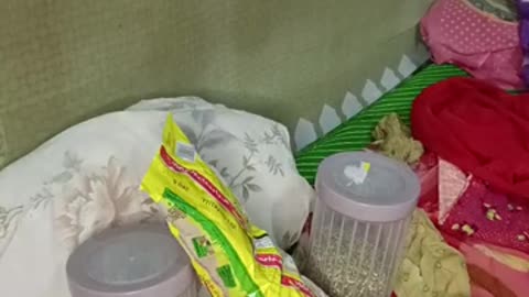 Show chat replay Vinod Razput Bhogpur @kismat-s2y kismat people & blogs