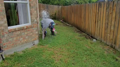 Sprinkler Repair Plano TX | Be the Reason Your Lawn Stays Green
