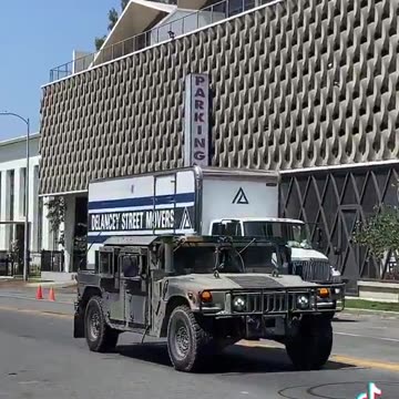 HustleBitch - What do you call this TRUMP ICE CALIFORNIA