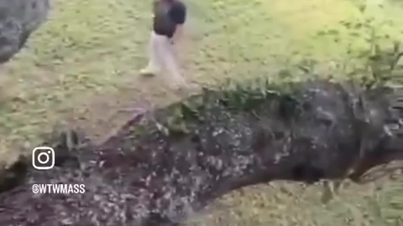 ICE agents chase workers up a tree in Massachusetts