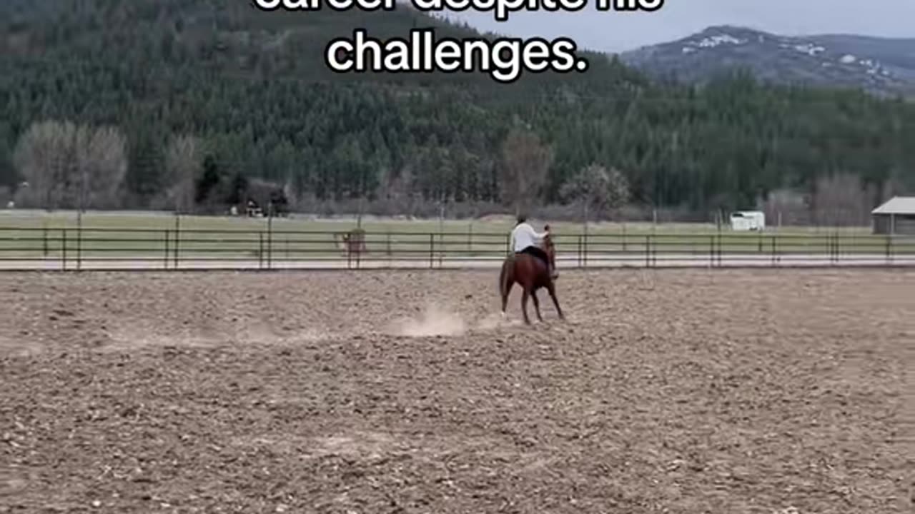 Navicular horses