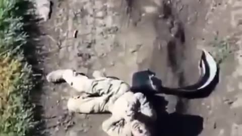 Russian Soldier-Deserter is Made an Example of
