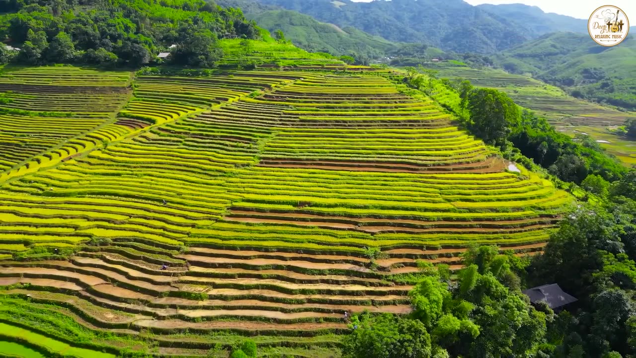 Best Classical Instrumental Music For Your Relaxation, Love Songs Soothe The Heart