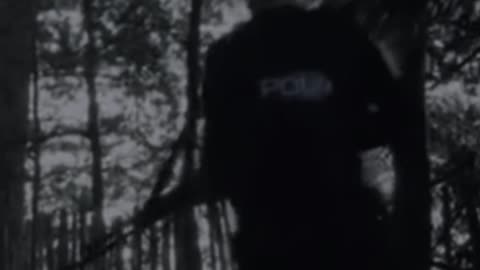 Breivik edit