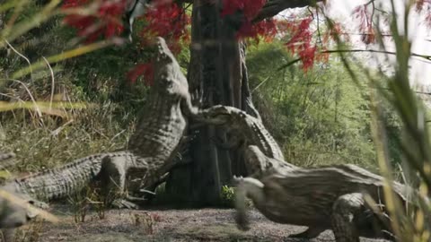 New Hollywood trending movie best seen shorts viral video