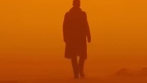 021. Szabad világban akarok élni...