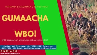 Gabaasa Gumaacha ONM-ABO Adoolessa 9-2025 itti dhiyaadhaa!