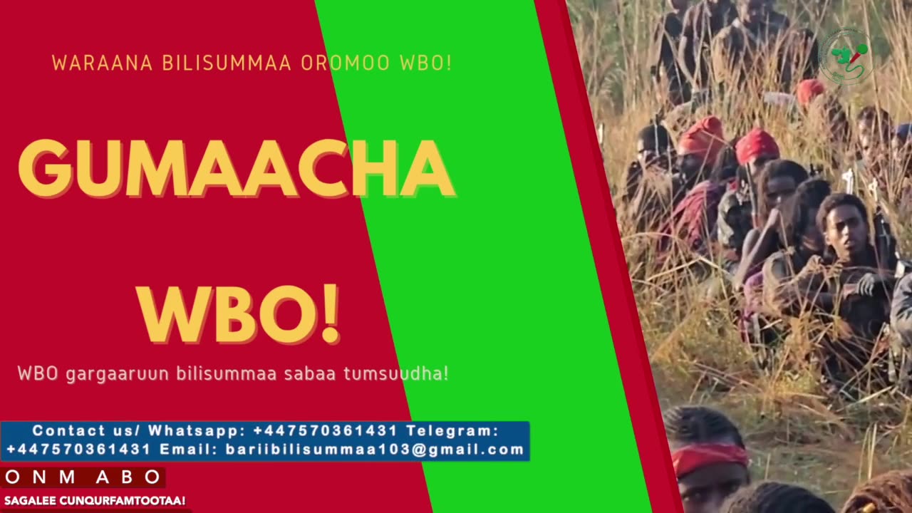 Gabaasa Gumaacha ONM-ABO Adoolessa 9-2025 itti dhiyaadhaa!