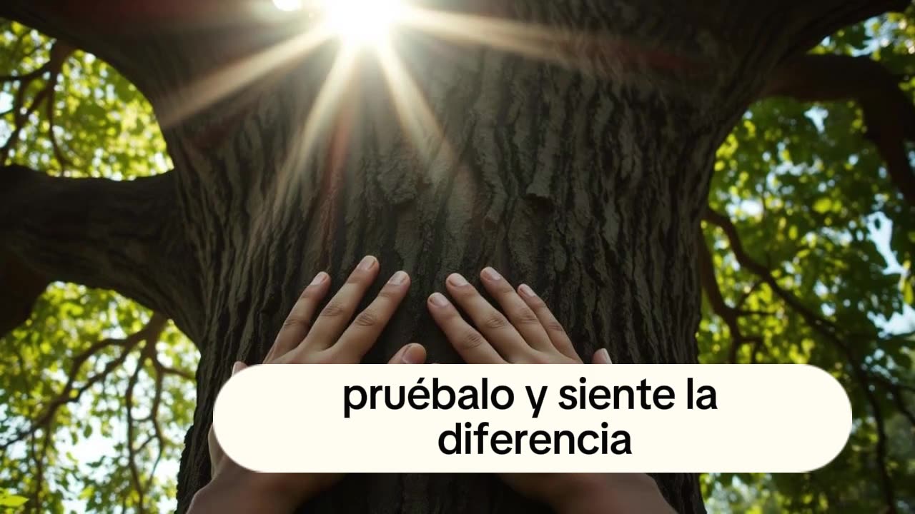 Cómo Practicar Mindfulness: Técnicas Sencillas y Poderosas