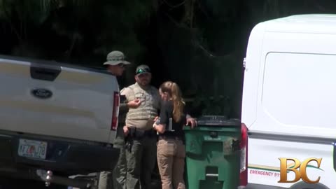 89-year-old man and dog killed in bear attacks in Florida