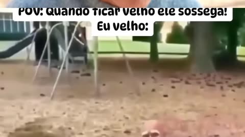 Try not to laugh Game!!!
