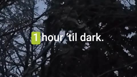 Lost in the wild with the clock ticking... 🌲🕐