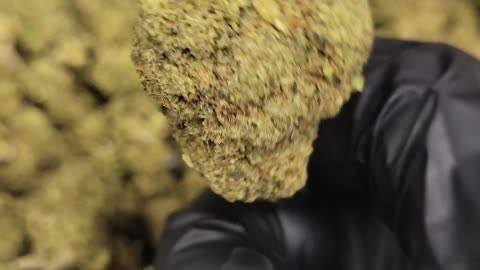 Pink Certz THC Flower