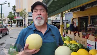 Winter Honeydew vs Summer Honeydew – what’s the difference?