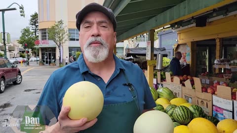 Winter Honeydew vs Summer Honeydew – what’s the difference?