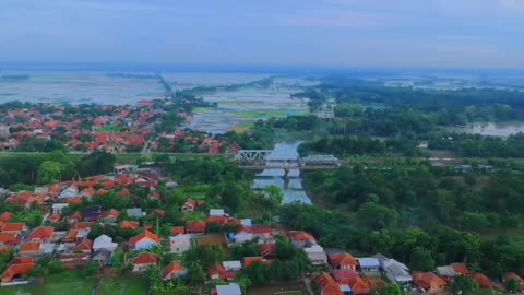 Drone View Hamparan Sawah Lega | on DJI Phantom 4